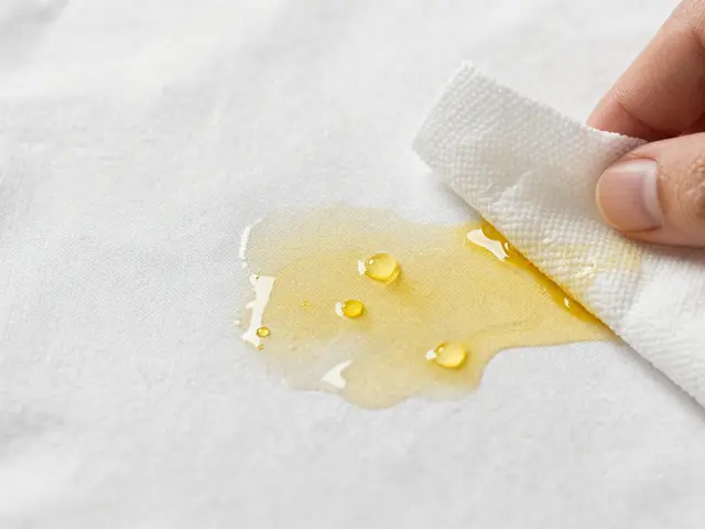 Jak odstranit mastné fleky z oblečení: Osvědčené domácí tipy a profesionální metody